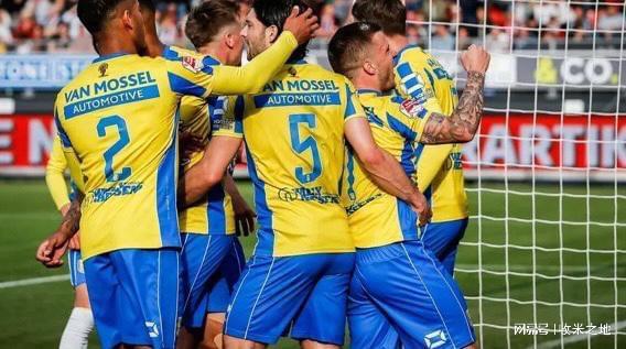 迷与分析师 迷与分析师