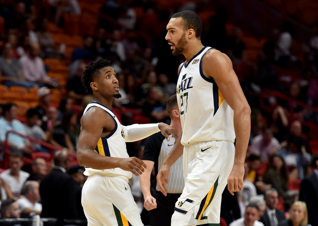 由于其年轻 由于其年轻