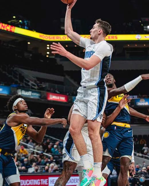 名古屋鲸八 名古屋鲸八